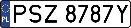 PSZ8787Y