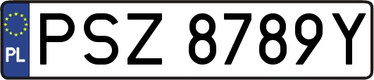 PSZ8789Y