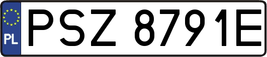 PSZ8791E