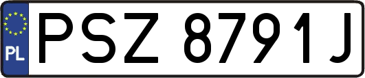 PSZ8791J