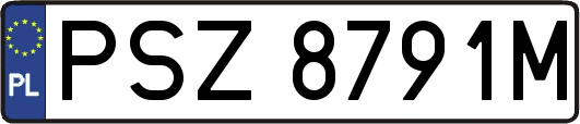 PSZ8791M