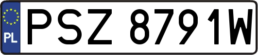 PSZ8791W