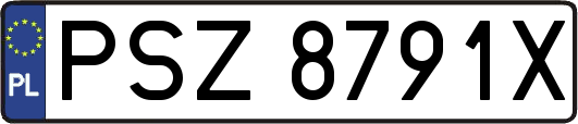 PSZ8791X