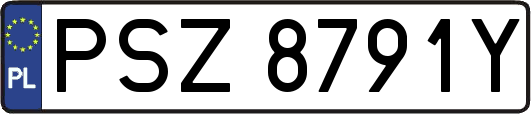 PSZ8791Y