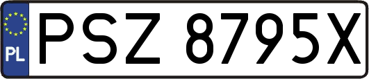 PSZ8795X