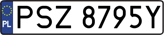 PSZ8795Y