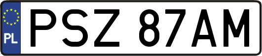 PSZ87AM