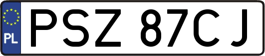 PSZ87CJ