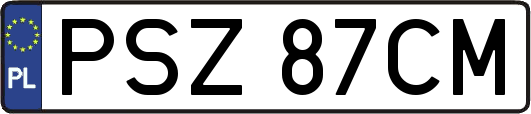 PSZ87CM
