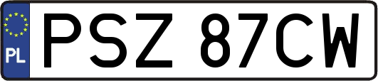 PSZ87CW