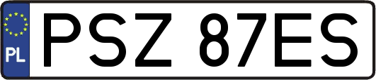 PSZ87ES