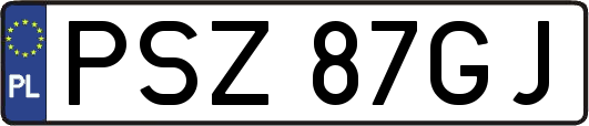 PSZ87GJ