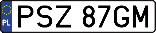 PSZ87GM
