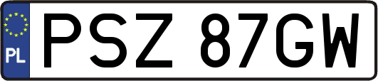 PSZ87GW