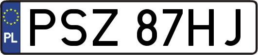 PSZ87HJ