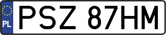 PSZ87HM