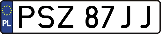 PSZ87JJ