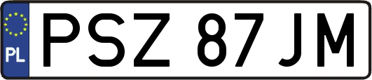 PSZ87JM
