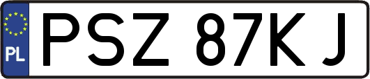 PSZ87KJ