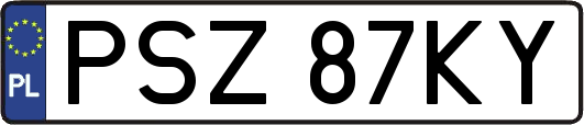 PSZ87KY