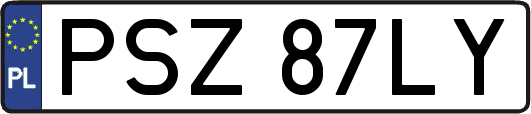 PSZ87LY