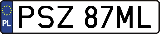 PSZ87ML
