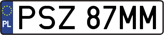 PSZ87MM