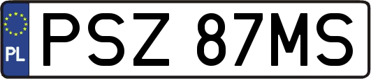 PSZ87MS