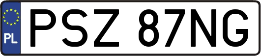 PSZ87NG