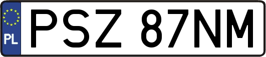 PSZ87NM