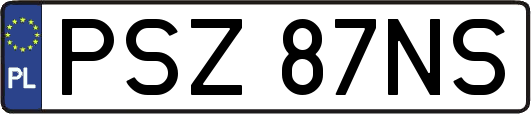 PSZ87NS
