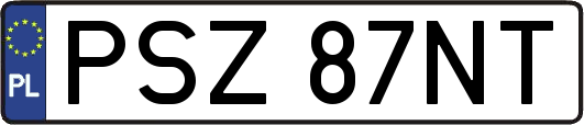 PSZ87NT