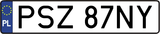 PSZ87NY