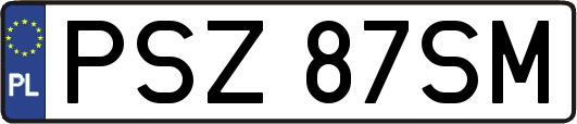 PSZ87SM