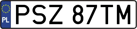 PSZ87TM