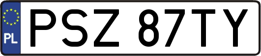 PSZ87TY