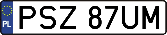 PSZ87UM