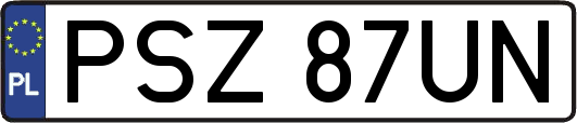 PSZ87UN