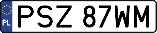 PSZ87WM