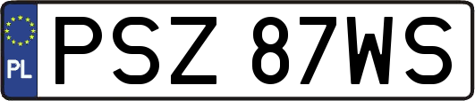 PSZ87WS