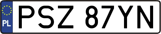 PSZ87YN