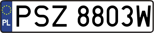 PSZ8803W