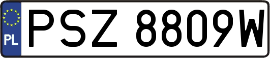 PSZ8809W