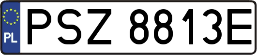 PSZ8813E
