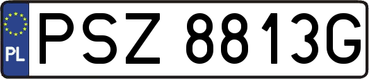 PSZ8813G