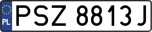 PSZ8813J