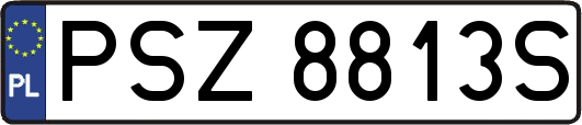 PSZ8813S