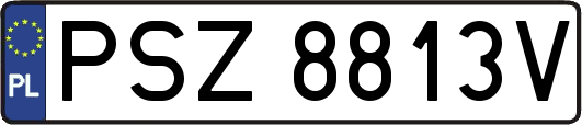 PSZ8813V