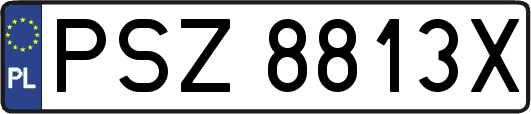PSZ8813X