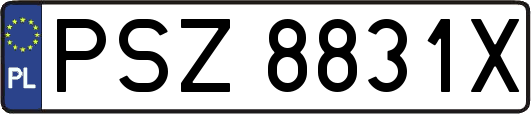 PSZ8831X
